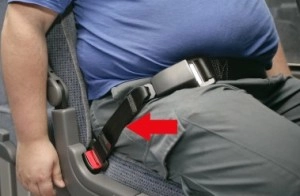 seat belt extender