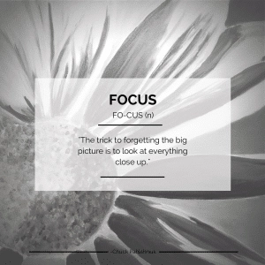 Focus