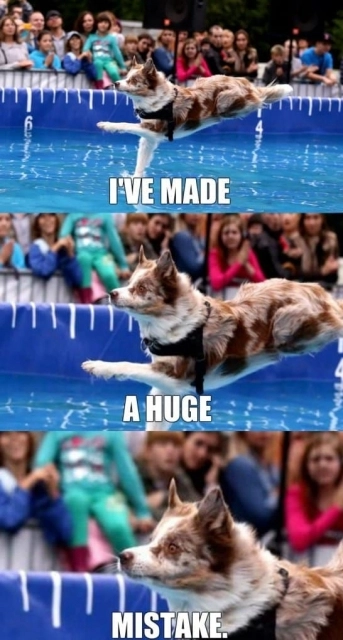 I-have-made-a-huge-mistake